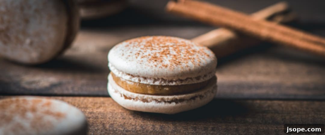 Snickerdoodle Bliss Macarons 1 featured 2387