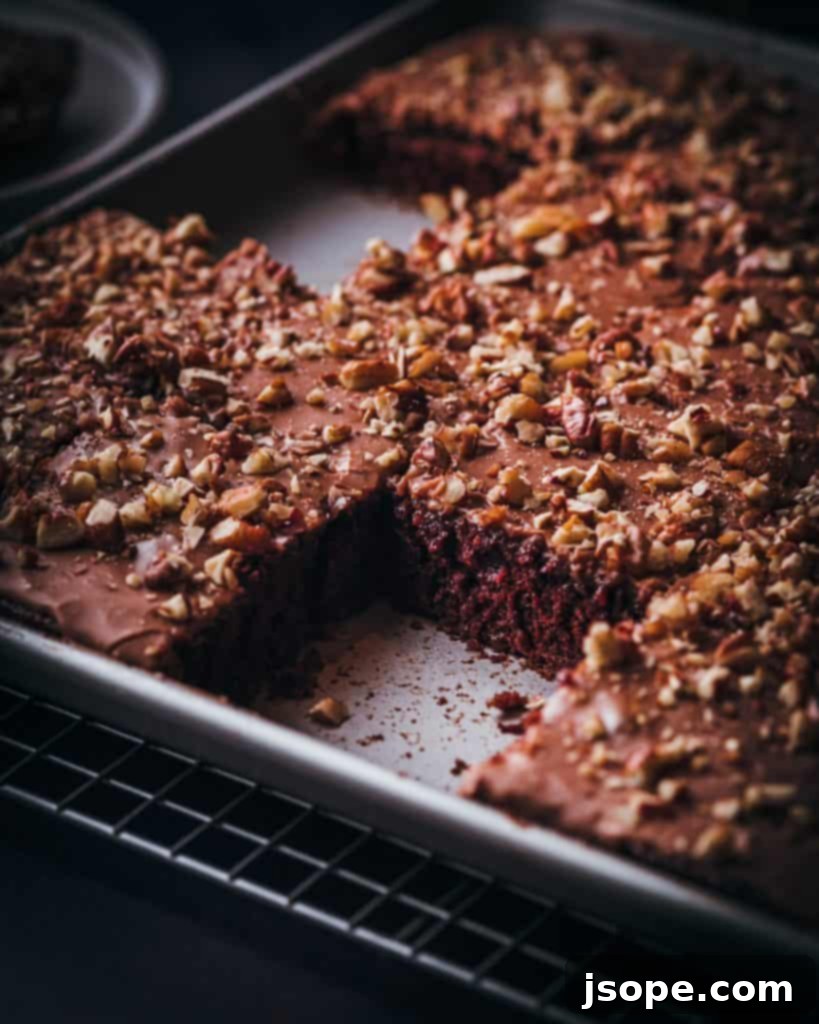 Texicali Chocolate Sheet Cake