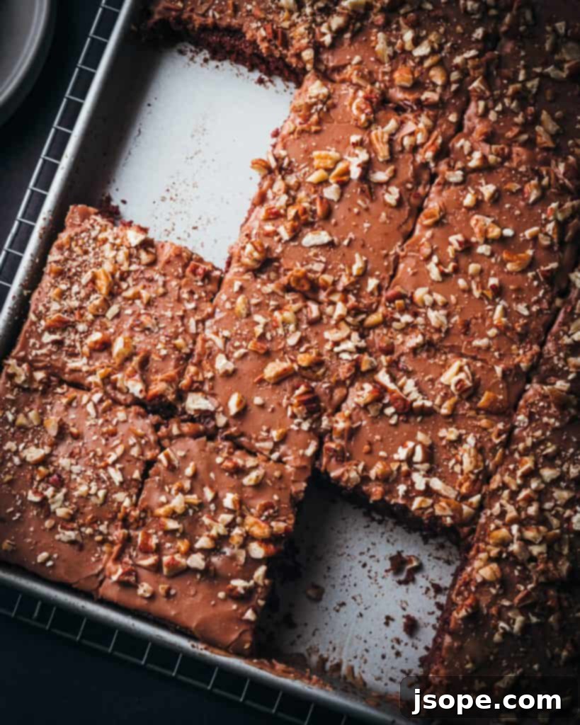 Texicali Chocolate Sheet Cake in a 26x18 inch sheet pan