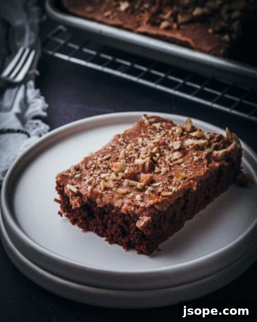 A slice of Texicali Chocolate Sheet Cake