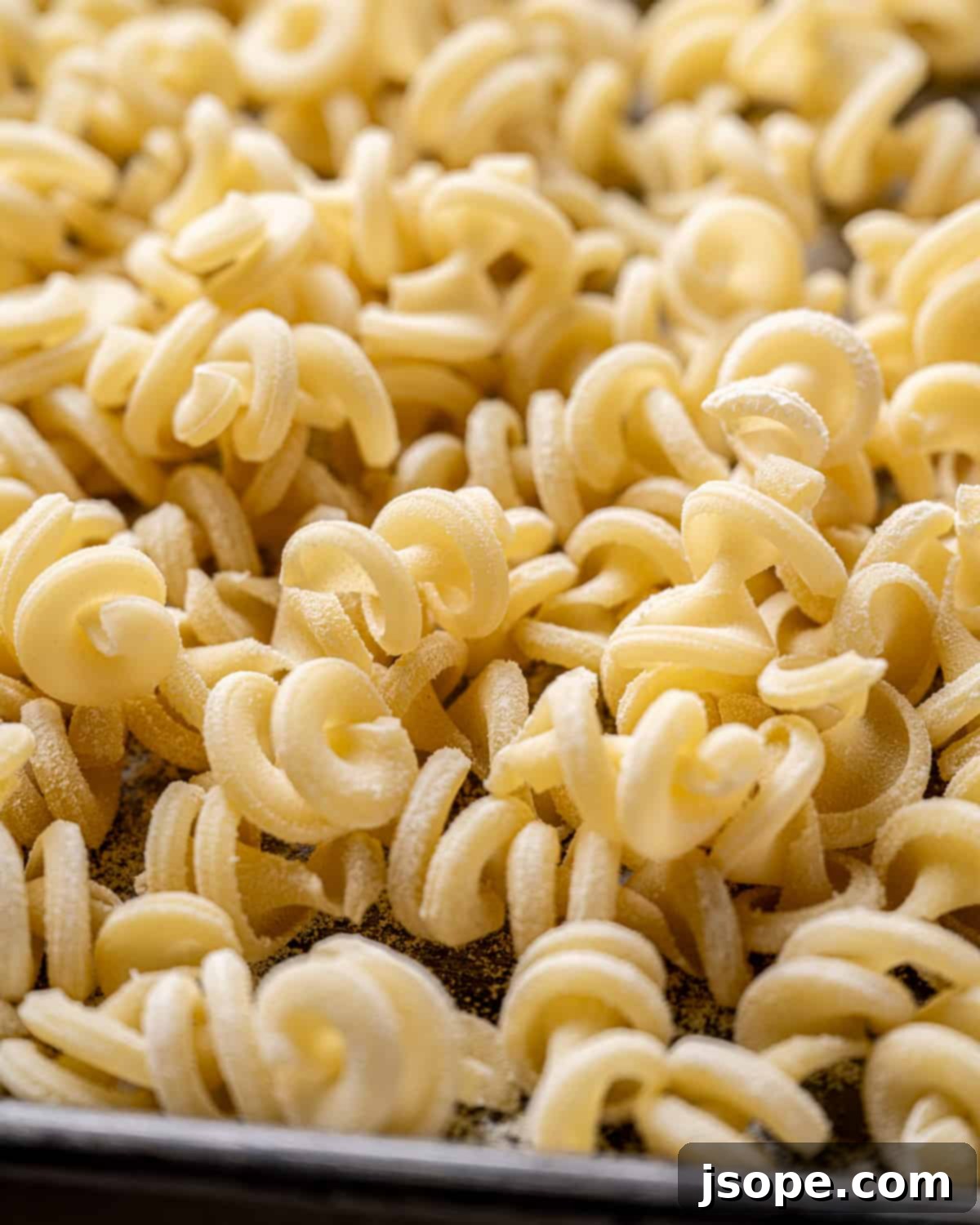 Dried Trottole Pasta - perfect for rich sauces.