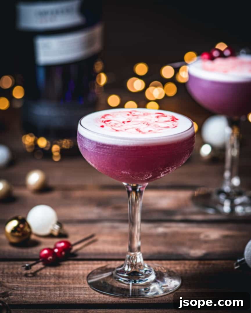 Empress Gin Ruby Chill 6 Frosted Cranberry Empress Gin Cocktail