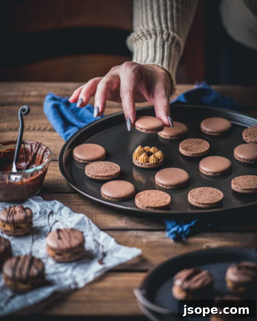 Perfectly baked chocolate macaron shells