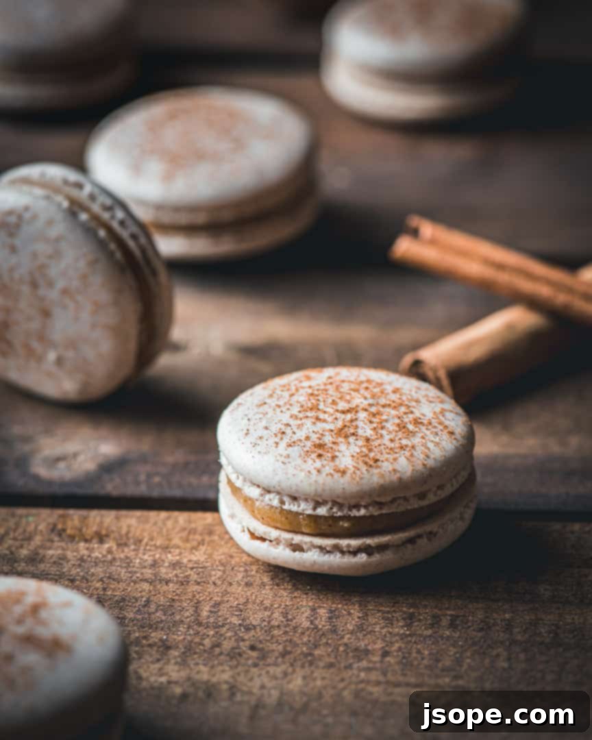 Snickerdoodle Bliss Macarons 3 Snicker Doodle Macarons