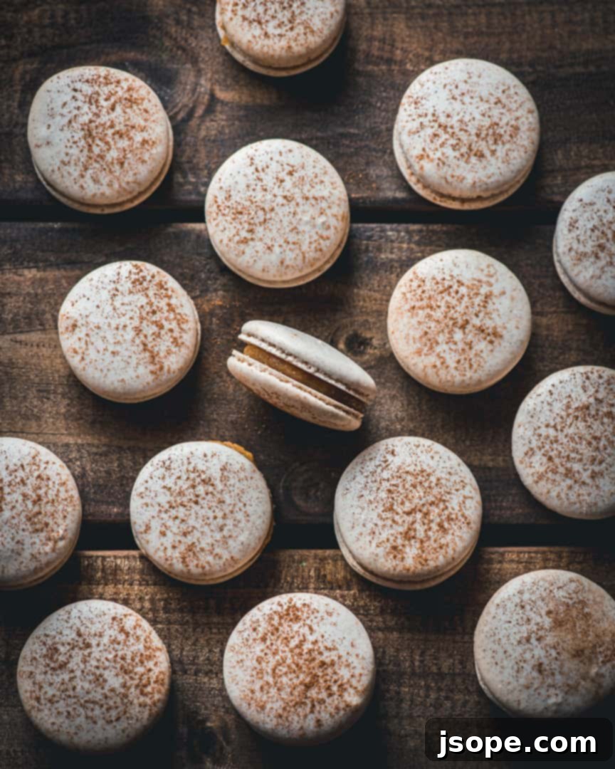 Snickerdoodle Bliss Macarons 4 snickerdoodle macarons