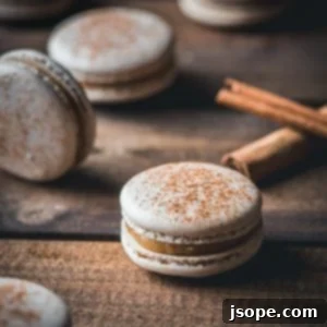 Snickerdoodle Bliss Macarons 7 Snickerdoodle macarons