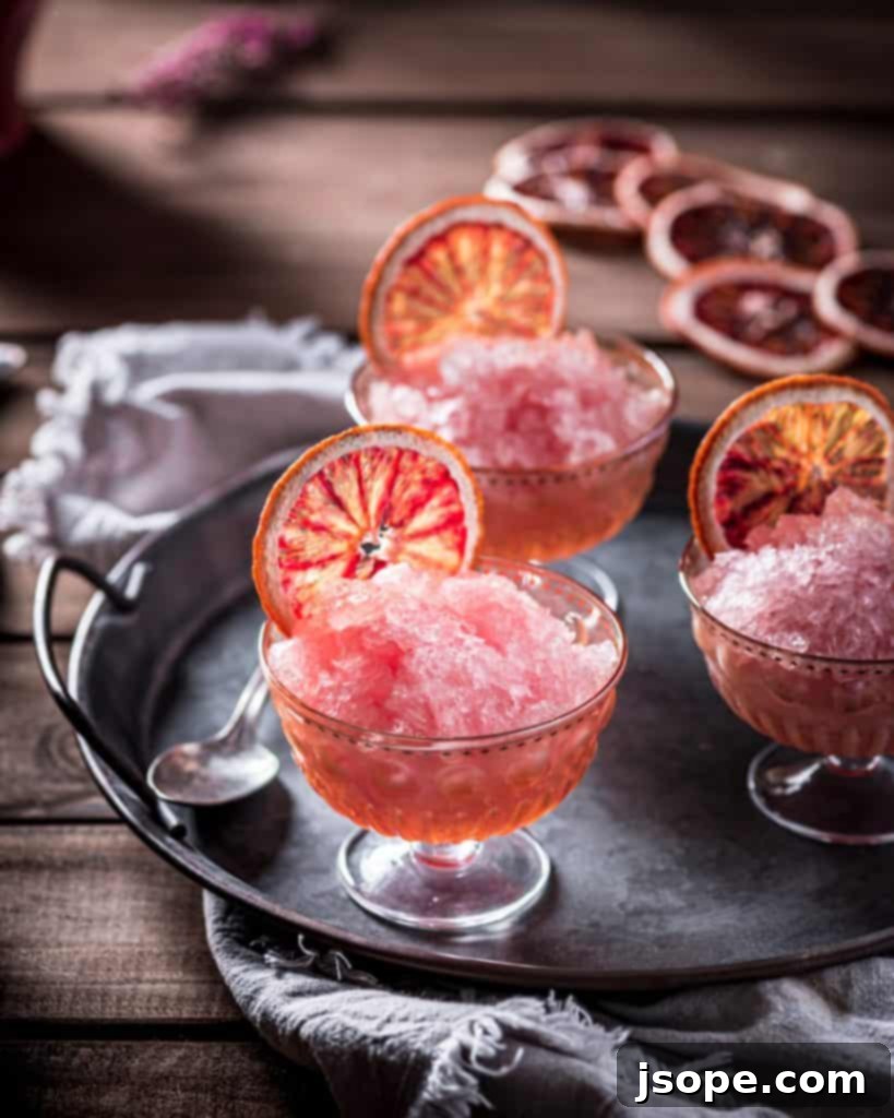 Crimson Kiss Granita 6 Blood Orange Elderflower Rosé Granita