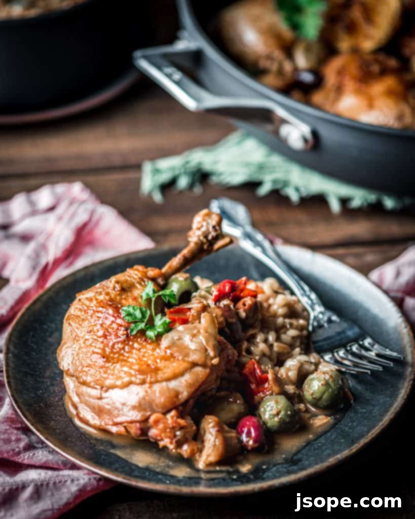 Crispy Skin Braised Chicken