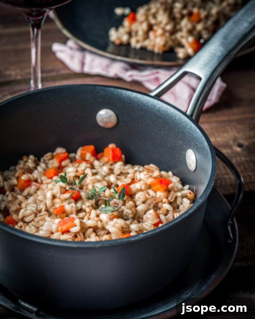 A delicious and hearty Barley Pilaf, serving as the ideal side dish.