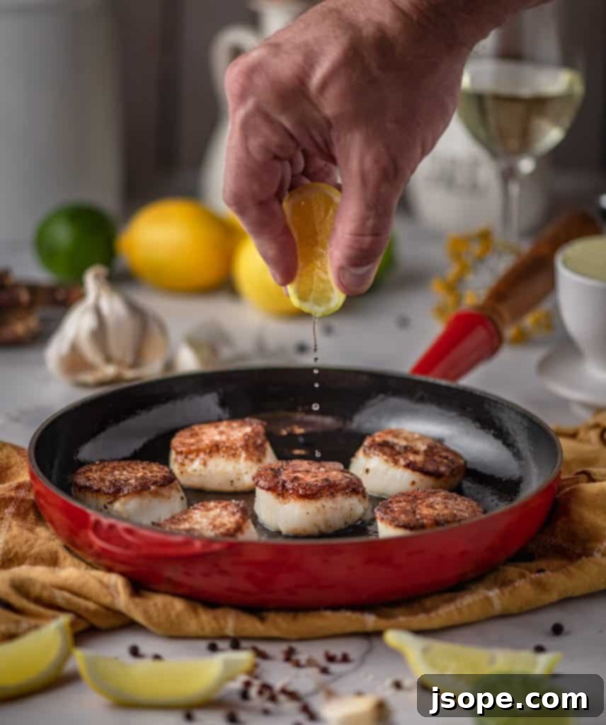 Perfectly Seared Scallops with a golden crust on a plate.