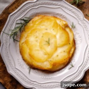 Golden Rosemary & Cheese Potato Gratin 6 Cheesy Layered Rosemary Potatoes
