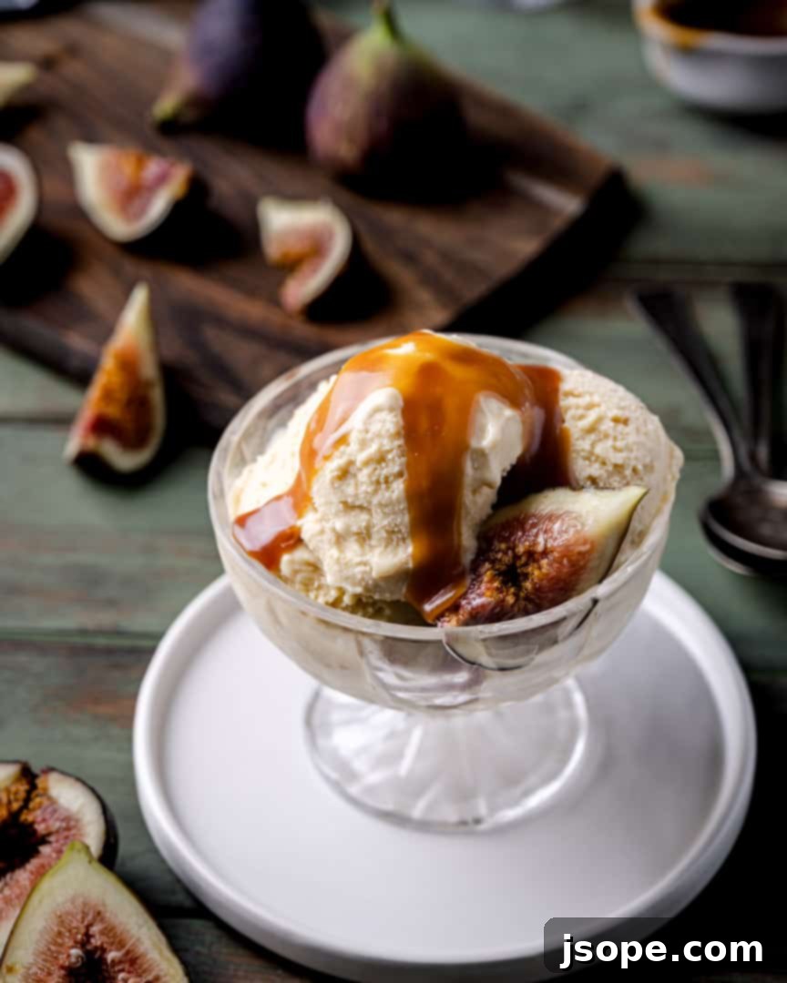 Fig Ricotta and Rum Caramel Gelato