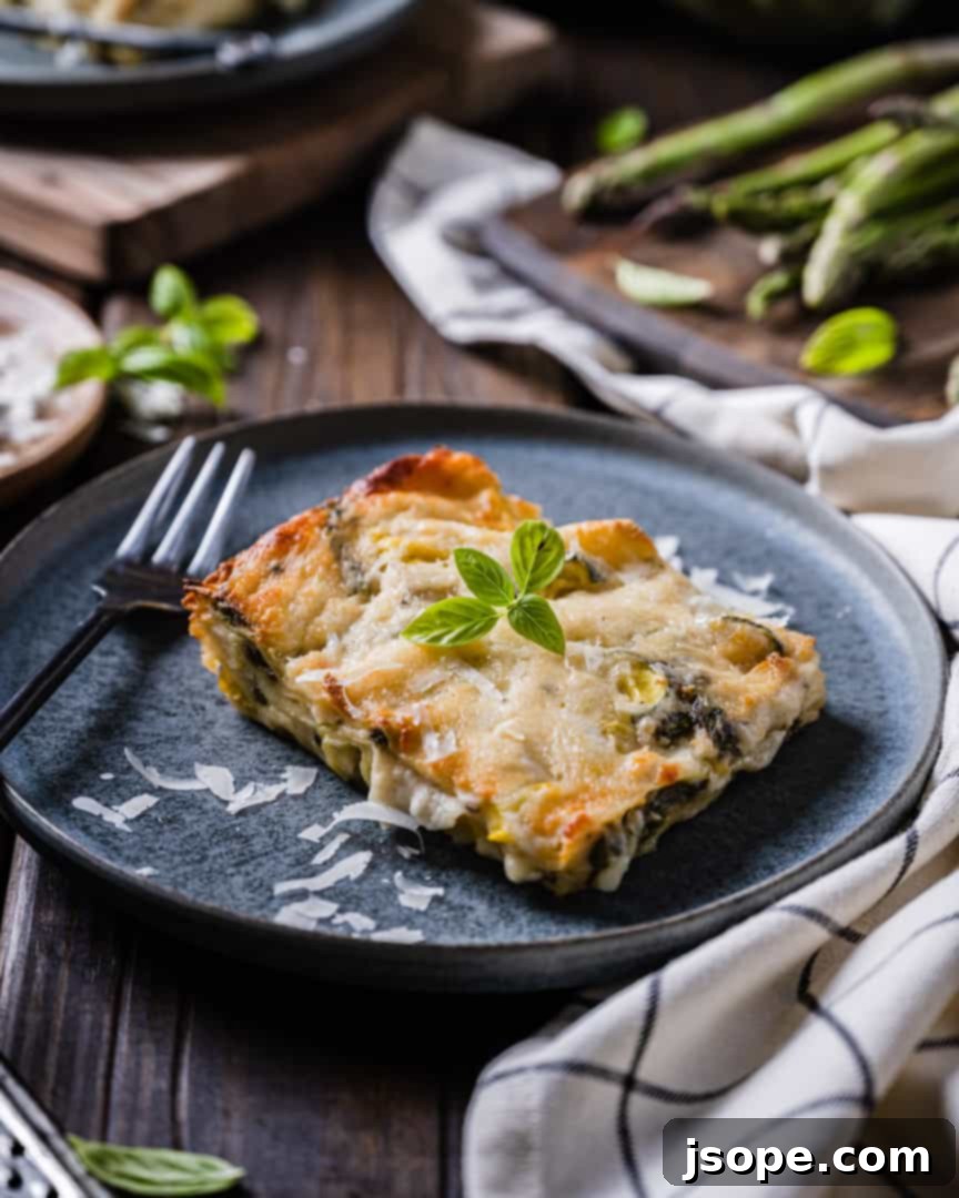 Vegetable Lasagna with White Sauce