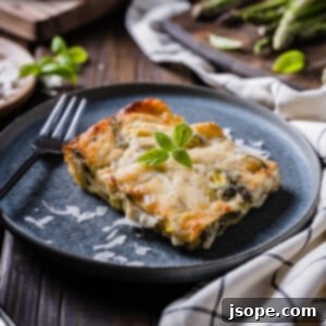 Vegetable Lasagna with White Sauce