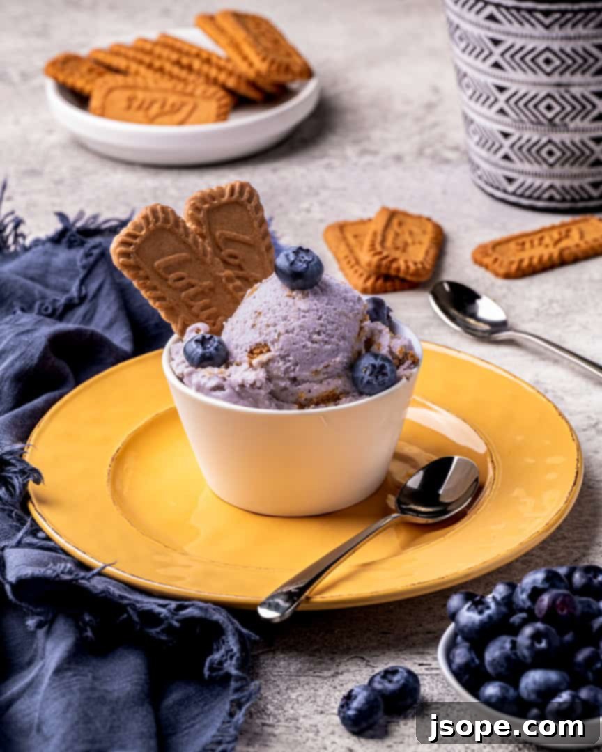 Irresistible Homemade Blueberry Cheesecake Gelato Recipe