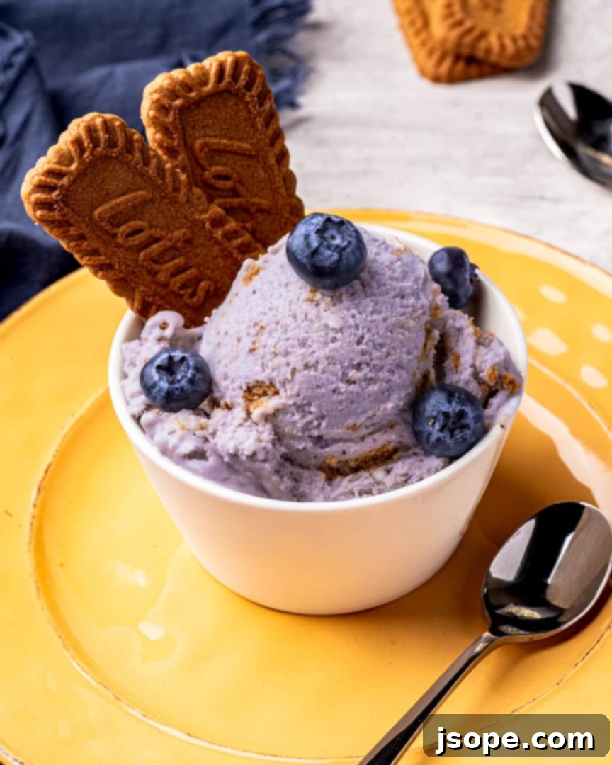 Homemade Blueberry Cheesecake Gelato with Biscoff