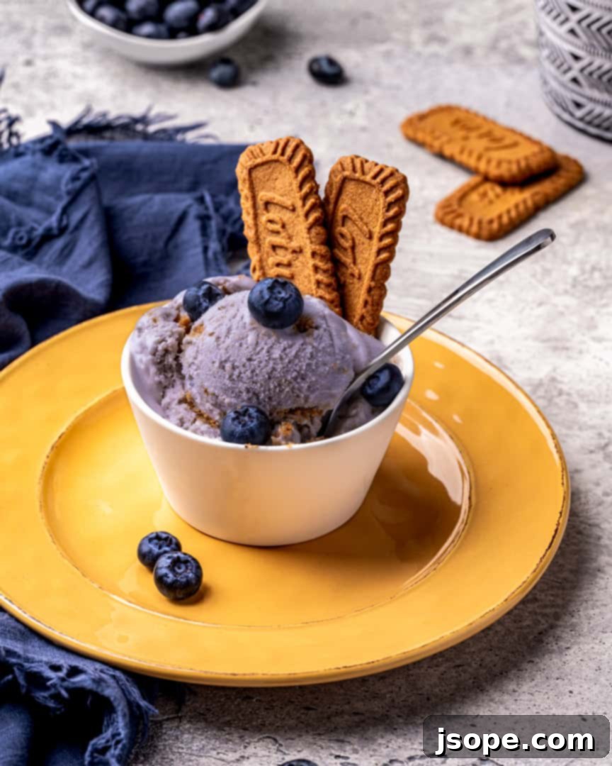 Serving Homemade Blueberry Cheesecake Gelato