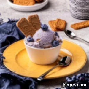 Blueberry Cheesecake Gelato