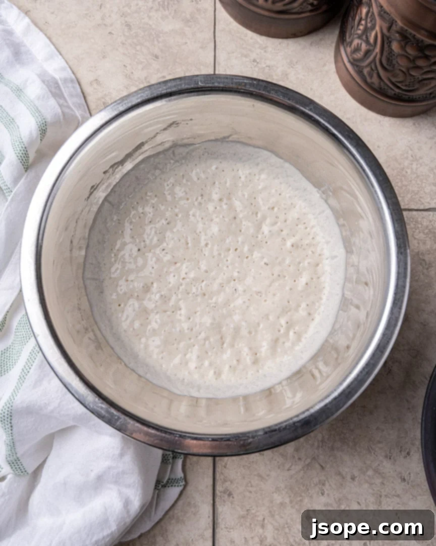 Poolish after 10-15 hours