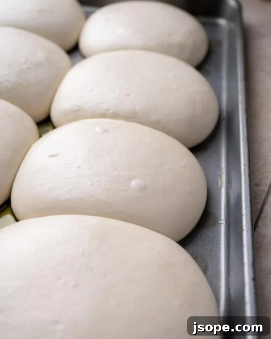 Pizza dough balls after cold proofing